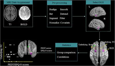 Abnormal Functional Connectivity Between the Left Medial Superior Frontal Gyrus and Amygdala Underlying Abnormal Emotion and Premature Ejaculation: A Resting State fMRI Study